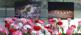 PINA BAUSCH, LA DANZA DELL’ANIMA